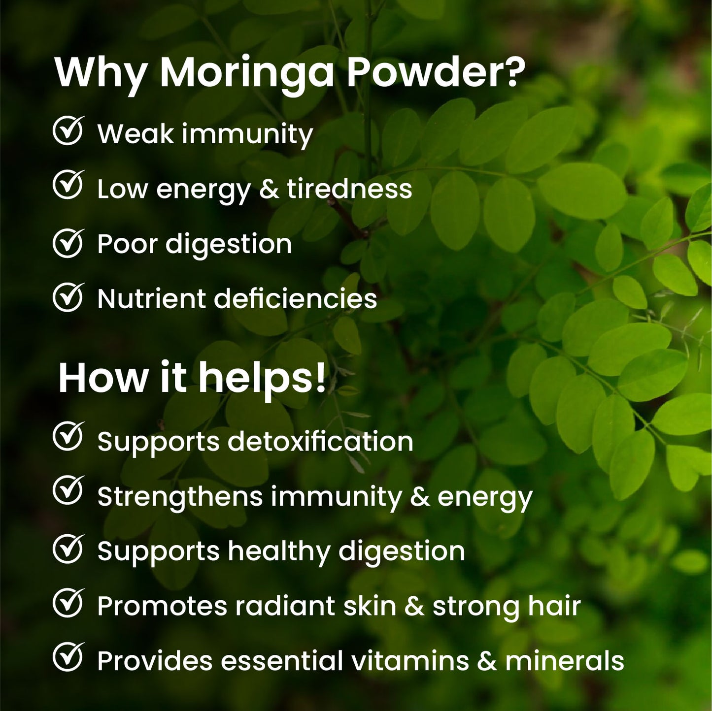 Vlado's Himalayan Organics 100% Organic Certified Moringa Powder - Natural Superfood with 120+ Nutrients, Antioxidants & Vitamins - Drumstick Leaf powder | Herbal Supplement I for Immunity, Digestion & Energy I Rich In Antioxidant & Protein - 200g