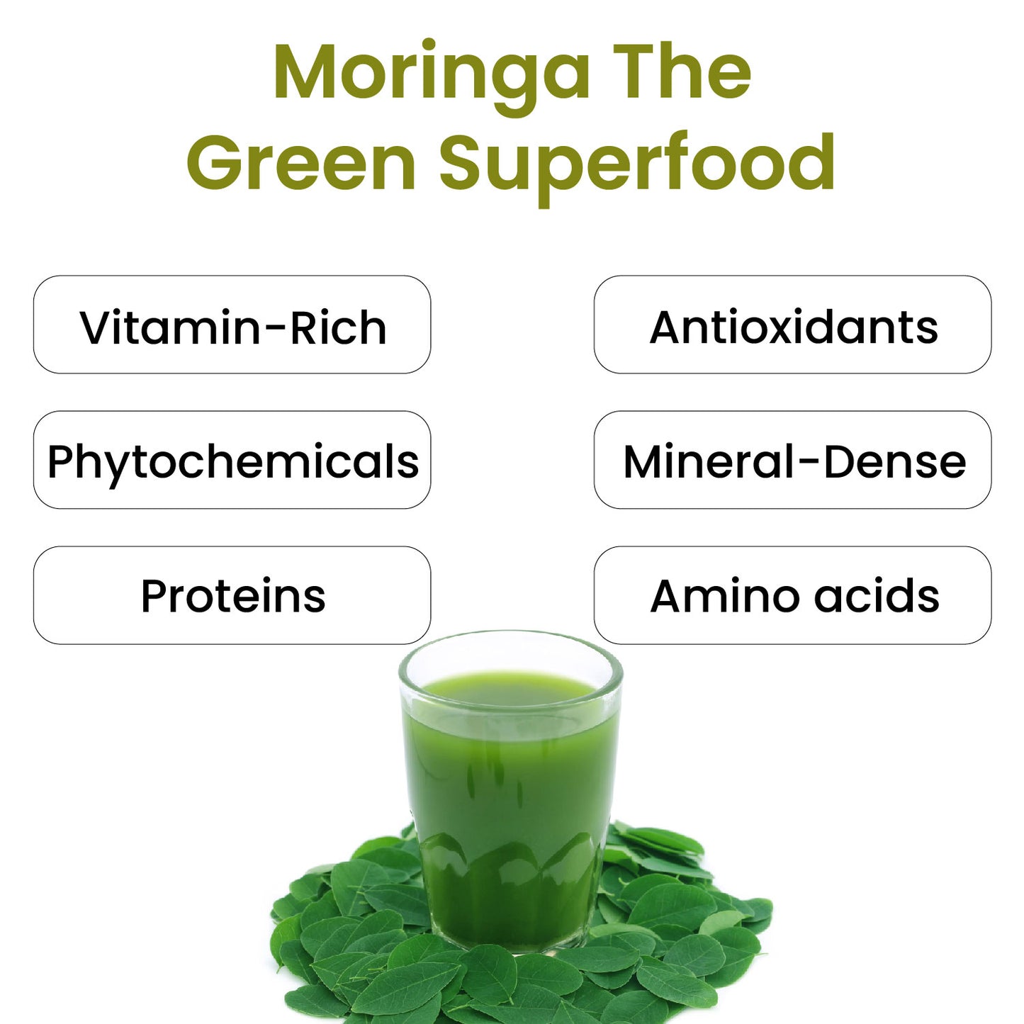 Vlado's Himalayan Organics 100% Organic Certified Moringa Powder - Natural Superfood with 120+ Nutrients, Antioxidants & Vitamins - Drumstick Leaf powder | Herbal Supplement I for Immunity, Digestion & Energy I Rich In Antioxidant & Protein - 200g