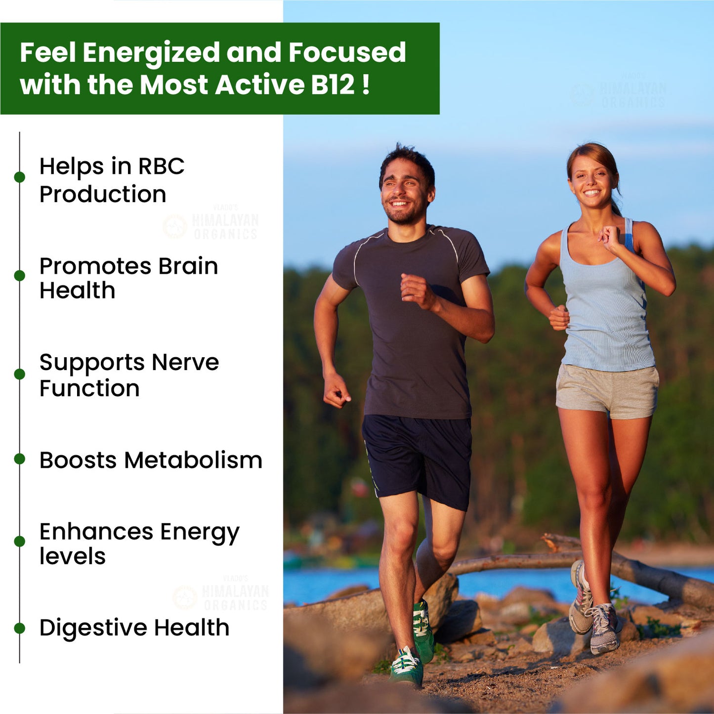 Vlado's Himalayan Organics Vitamin B12 Tablets 1500 mcg -Active form of Methylcobalamin Vitamin B12 Supplements for Men & Women- 60 Veg Tablets
