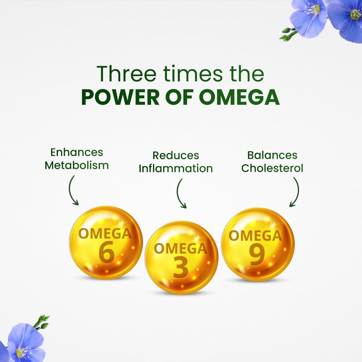 Himalayan Organics Omega 3 6 9 Vegan Natural Nutrition Supplement for Muscle, Bone , Heart & Skin - 90 Capsules