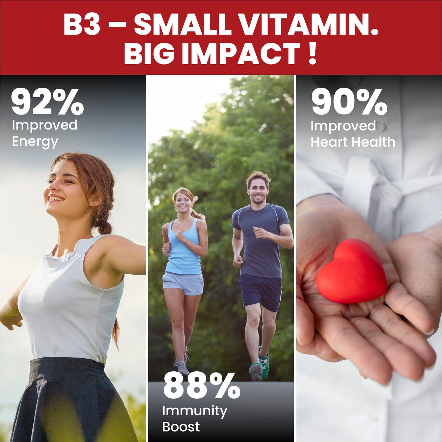 Vlado's Himalayan organics - Organic Niacin (Vitamin B3 ) 18 mg / Serving - for Vascularity & Increase Cellular Energy - 45 Veg Tablets