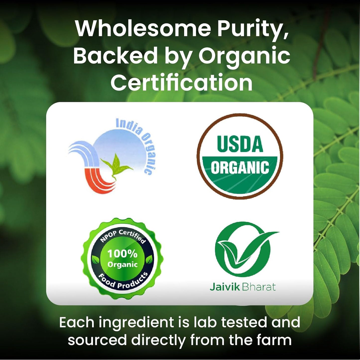 Vlado's Himalayan Organics 100% Organic Certified Moringa Powder - Natural Superfood with 120+ Nutrients, Antioxidants & Vitamins - Drumstick Leaf powder | Herbal Supplement I for Immunity, Digestion & Energy I Rich In Antioxidant & Protein - 200g