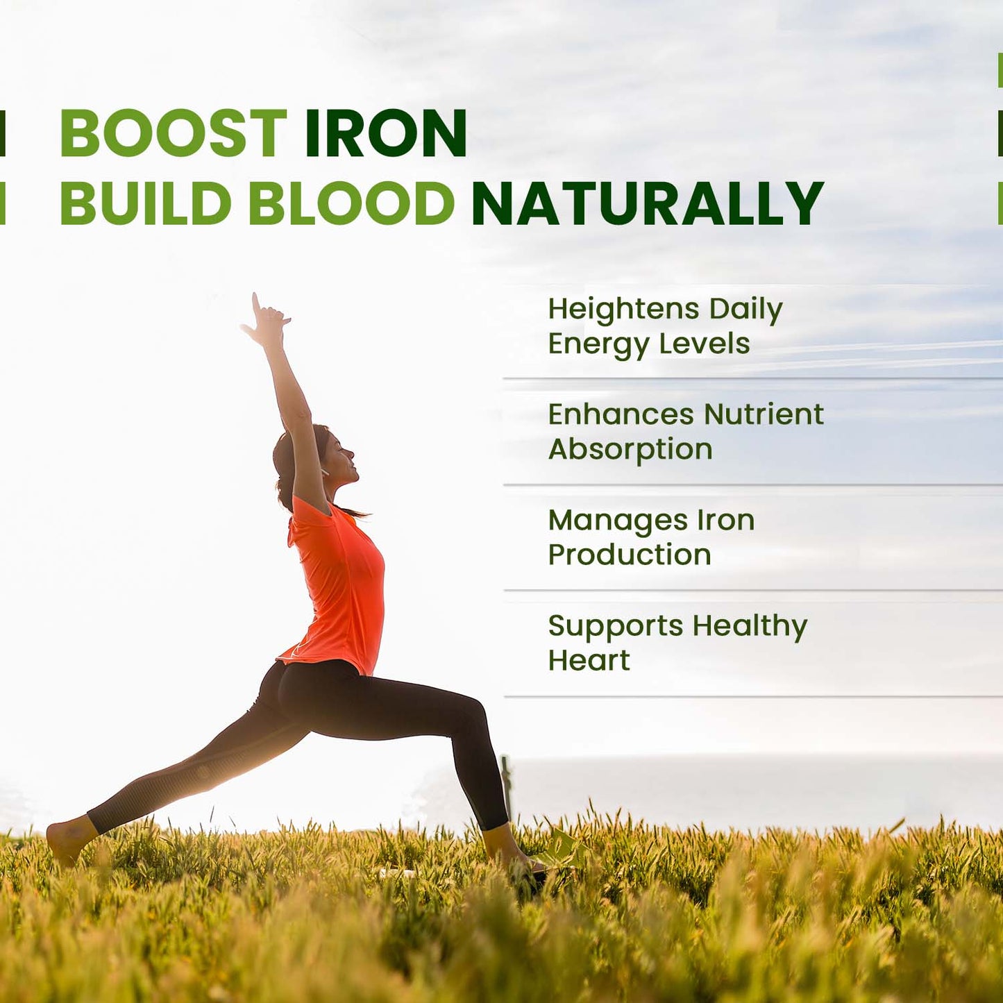 Vlado's Himalayan Organics Plant-Based Iron Supplement With Folate | Improved Hemoglobin & Oxygen Capacity | Stomach Friendly | Boost Energy - 60 Veg Capsules