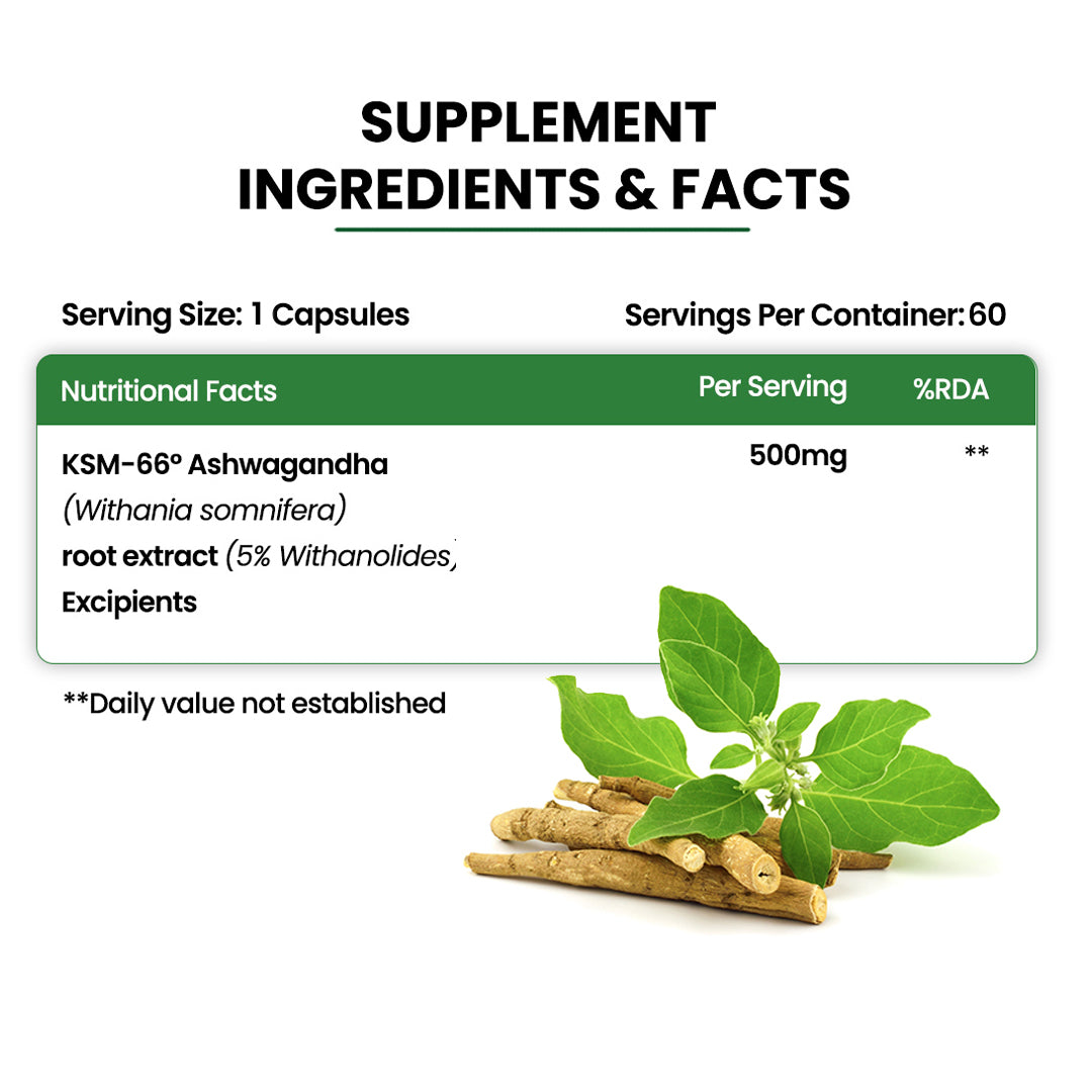 Vlado’s Himalayan Organics KSM66 Ashwagandha 500 Mg I 5% Withania Somnifera I Pure Ashwagandha Men & Women (60 Capsules)