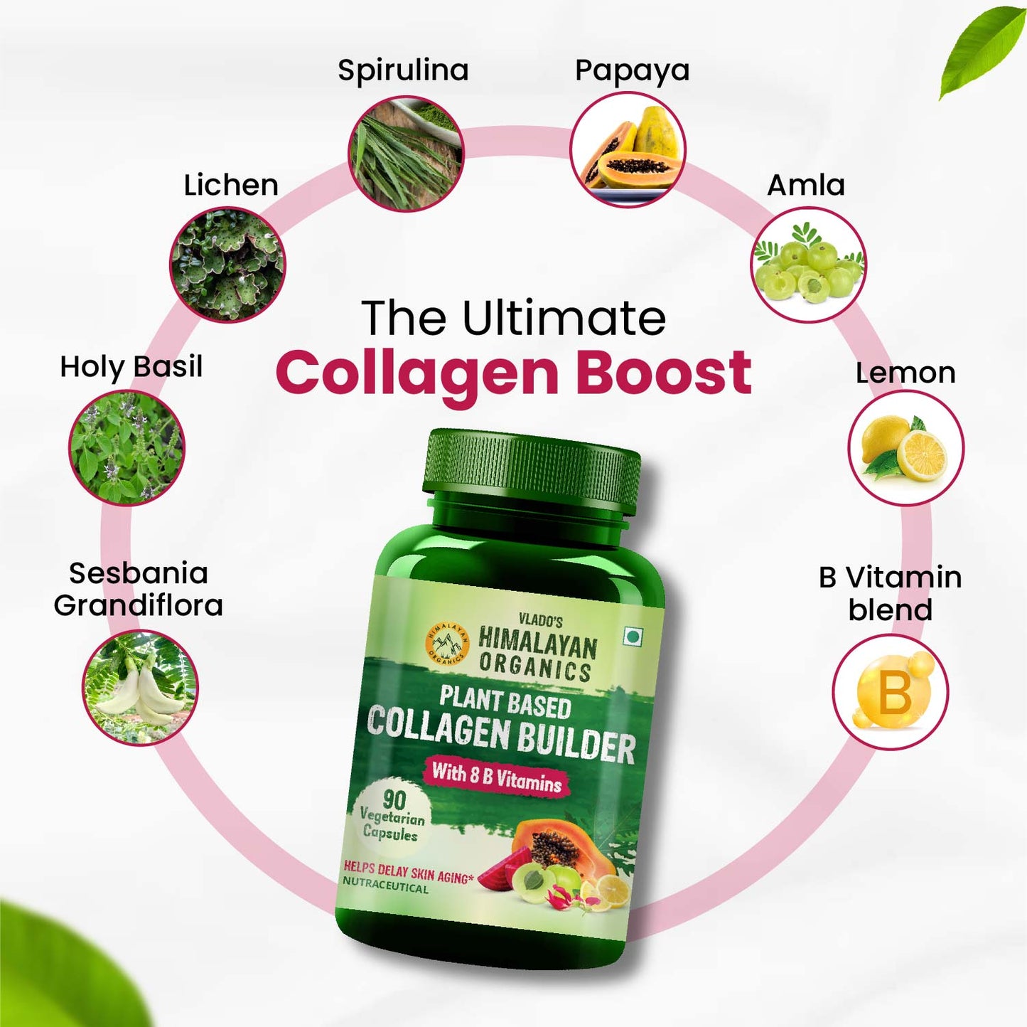 Vlado's Himalayan Organics Plant Based Collagen Builder With 8 B Vitamins for Hair and Skin | Collagen Supplement for Women & Men | Collagen Capsules With Biotin & Vitamin C | Glowing and Youthful Skin (90 Capsules)