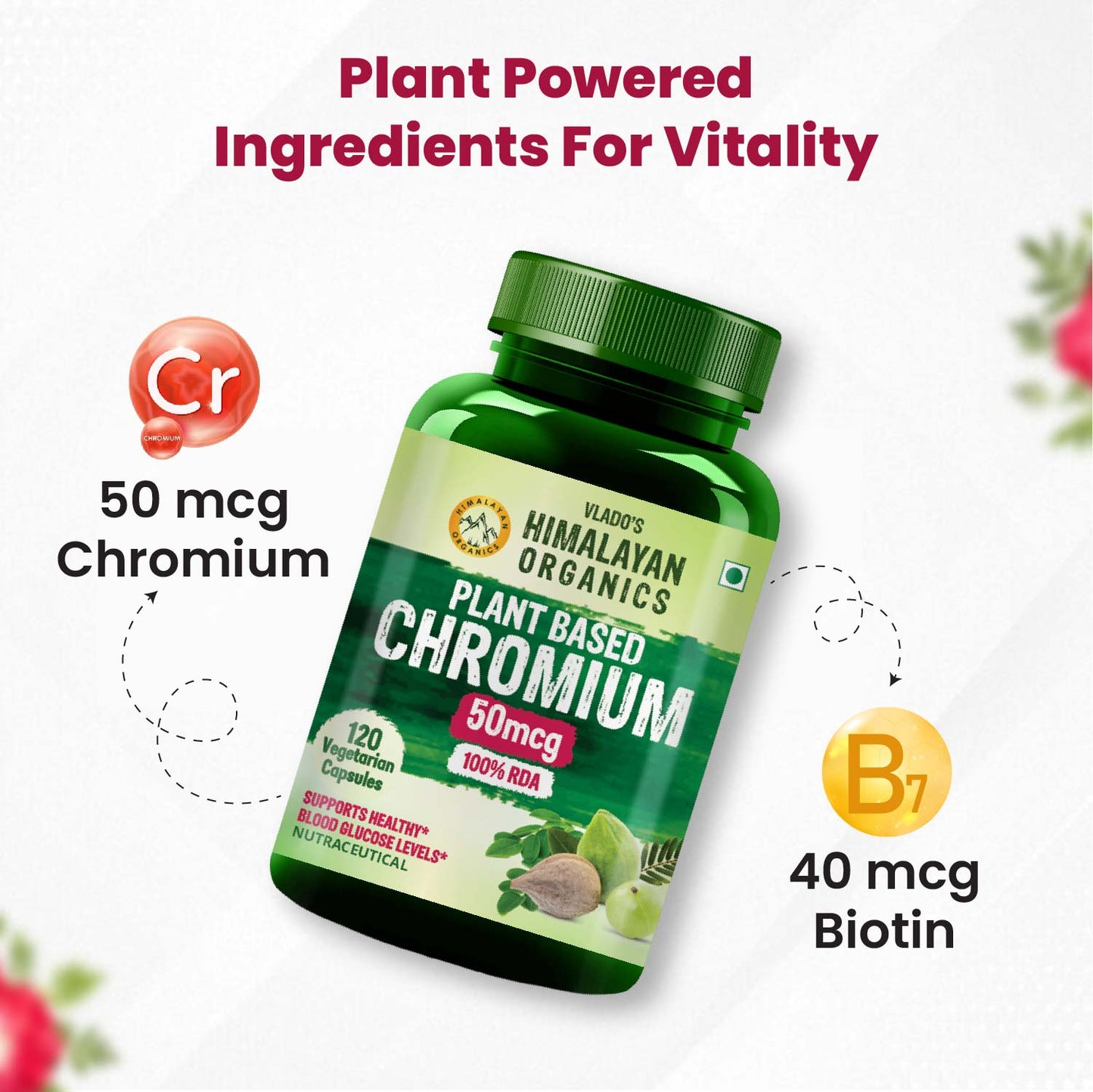 Vlado's Himalayan Organics Plant Based Chromium 50mcg | Supports Healthy Blood Glucose Level - 120 Veg Capsule