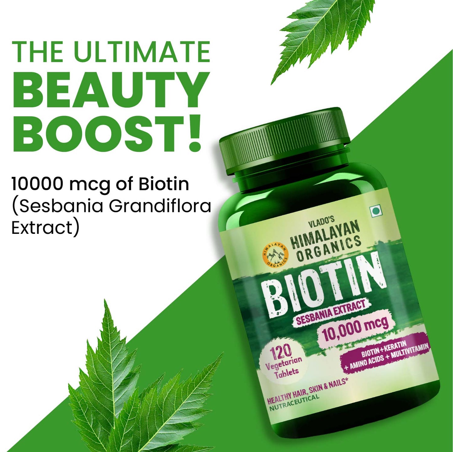 Vlado's Himalayan Organics Biotin 10,000mcg Supplement with Keratin + Amino Acids & Multivitamin - 120 Veg Tablets