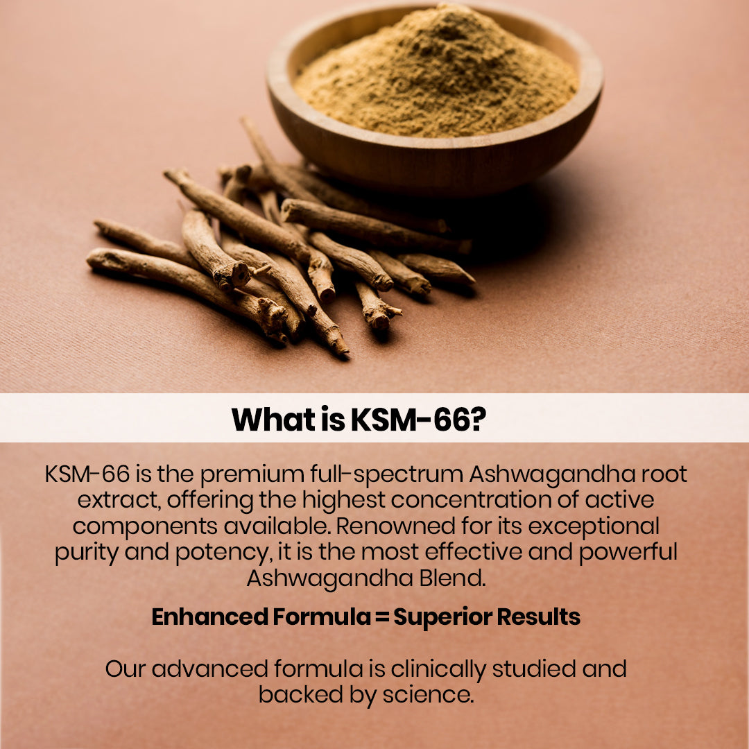 Vlado’s Himalayan Organics KSM66 Ashwagandha 500 Mg I 5% Withania Somnifera I Pure Ashwagandha Men & Women (60 Capsules)