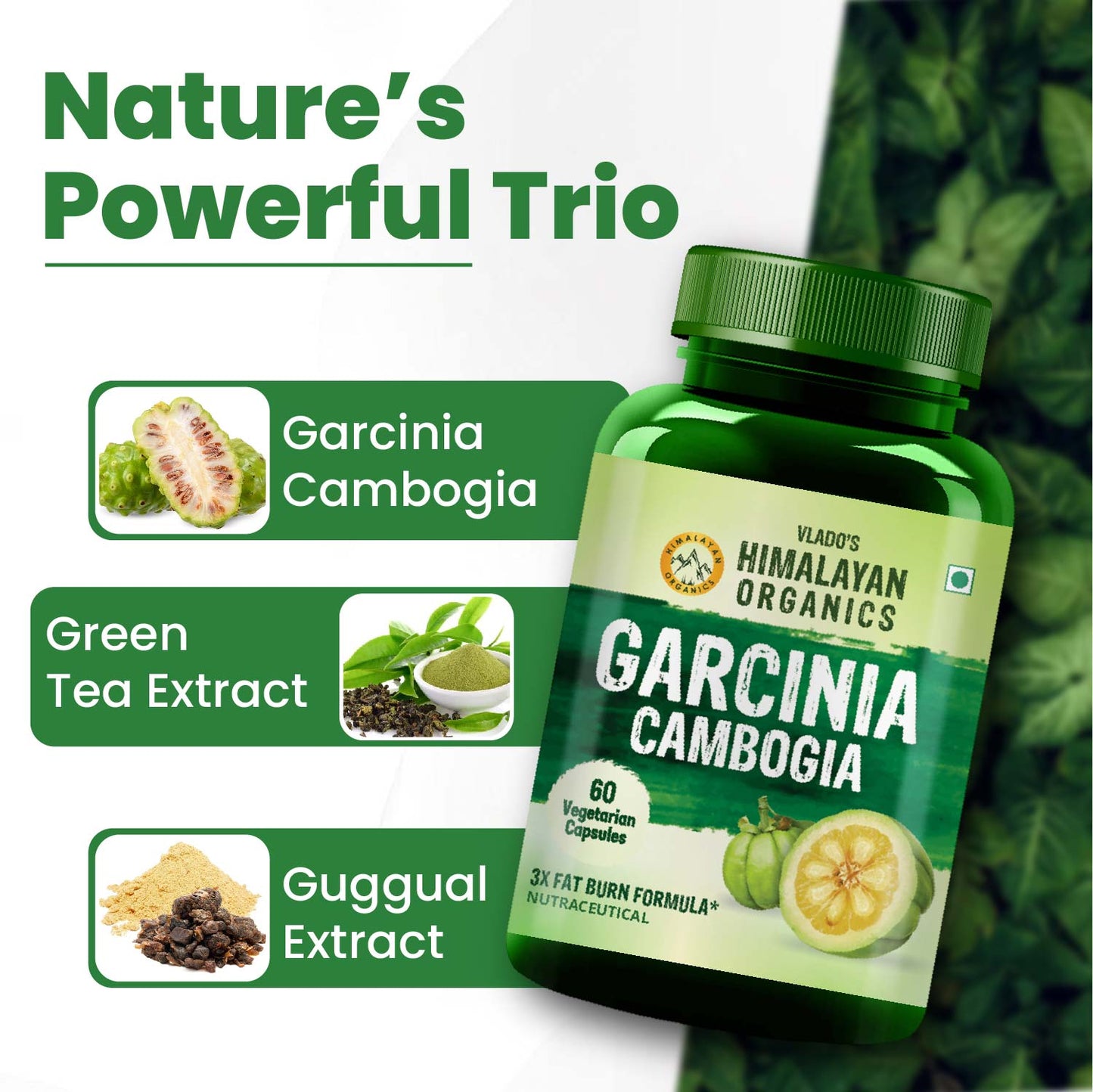 Vlado's Himalayan Organics Garcinia Cambogia Supplement for Weight Management - 60 Veg Capsules