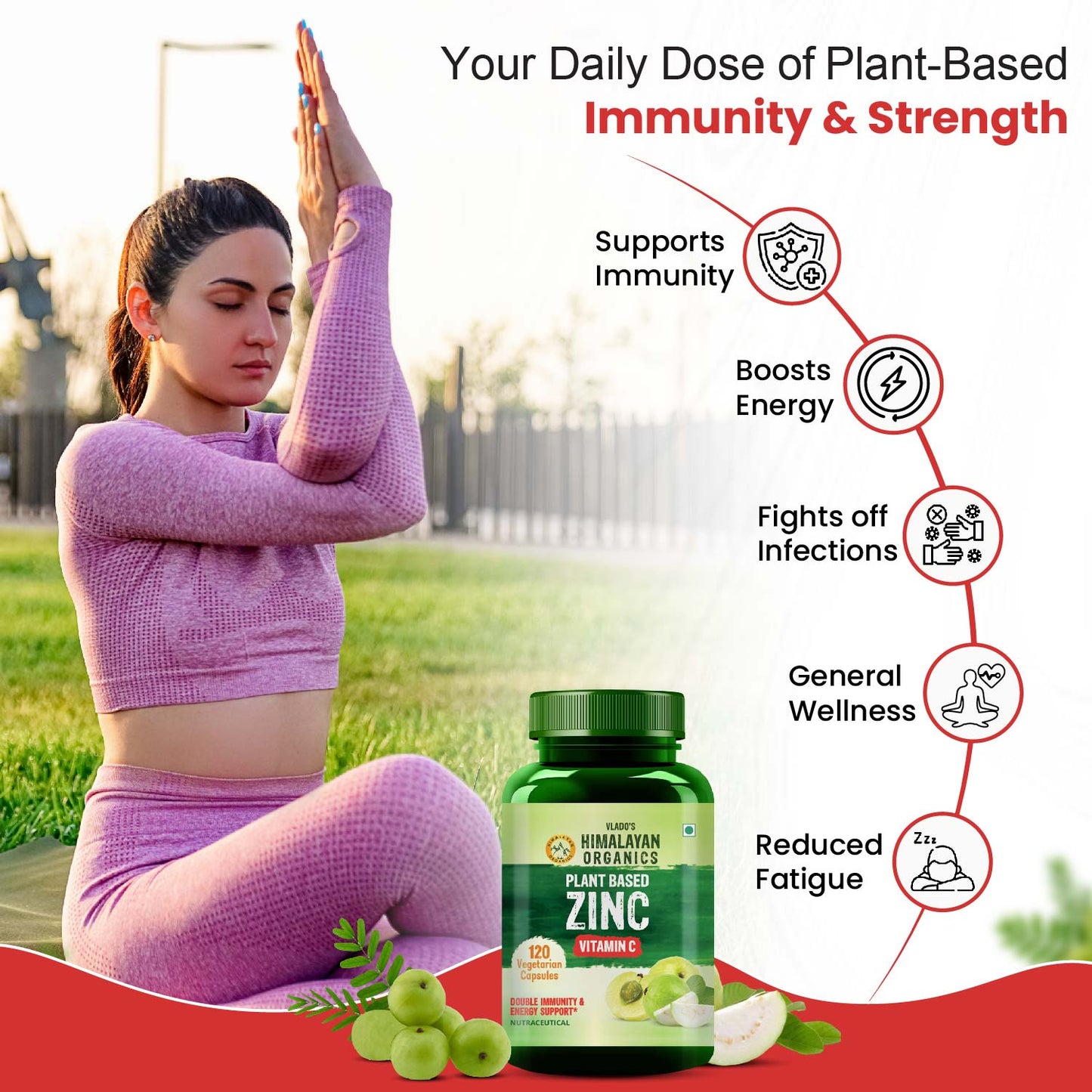 Vlado's Himalayan Organics Plant Based Zinc with Vitamin C | Builds Immunity & Anti Inflammation | Acne Support | 120 Veg Capsules