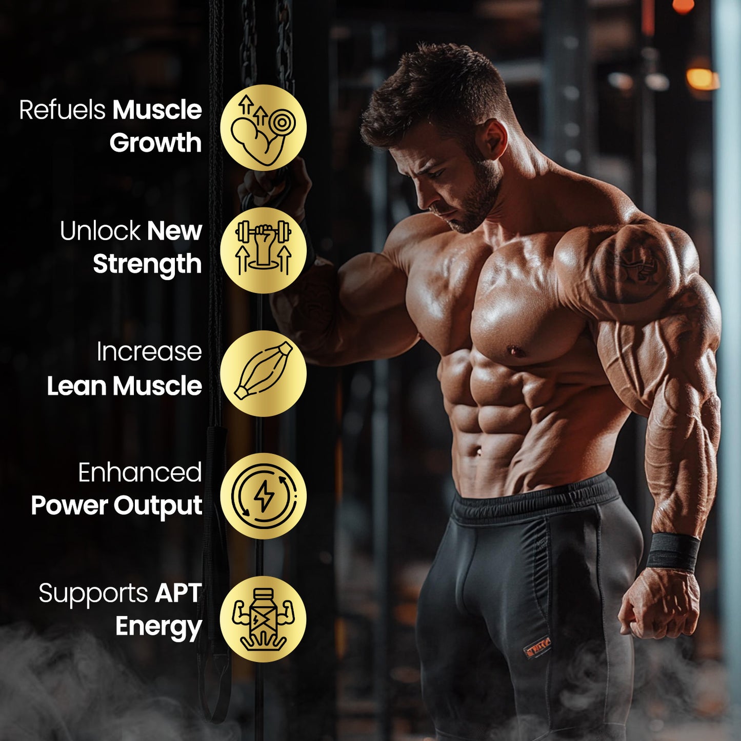 Vlado's Himalayan Organics Pure Micronised Creatine Monohydrate Powder I Pre/Post Workout Supplement, Instant Energy for Athletic Performance I Faster Muscle Building & Recovery I Unflavored - 33 Servings