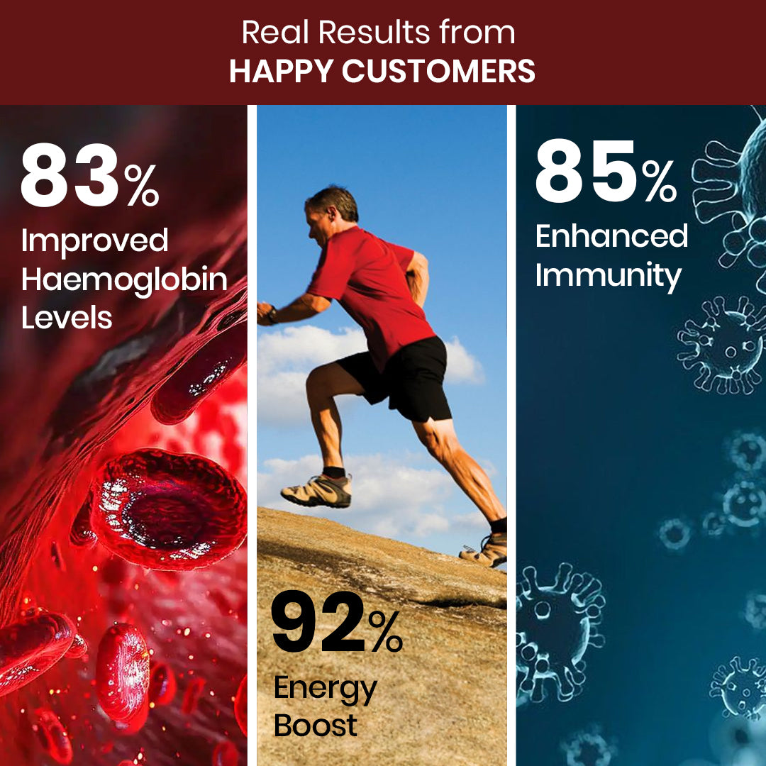 Vlado's Himalayan Organics Plant Based Iron with Folate for Better Hemoglobin, Immunity, Oxygen Binding Capacity - 90 Veg Capsules