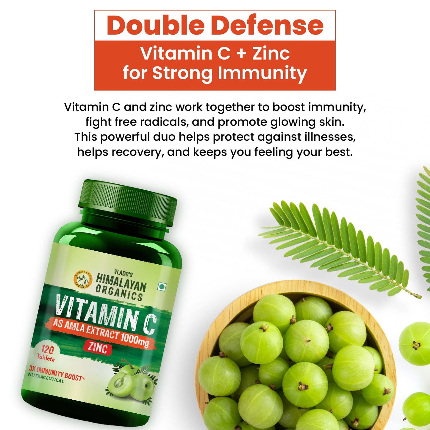 Vlado's Himalayan Organics Vitamin C 1000mg Tablets | Immunity, Antioxidant & Skin Care | 120 Veg Tabs