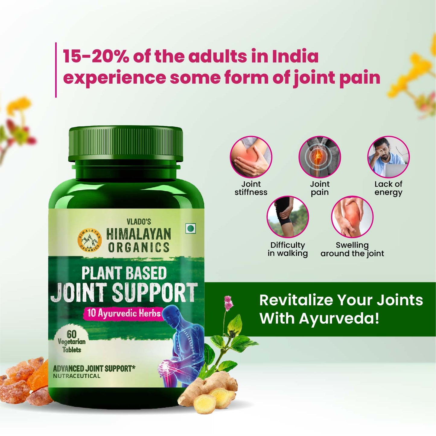 Vlado's Himalayan Organics Plant Based Joint Support With Boswellia Serrata | Amla, Alfalfa, Turmeric, Moringa + 10 Ayurvedic Herbs | Strong Bones & Relives Joint Pain | Better Flexibility For Men & Women - 60 Veg Tablets