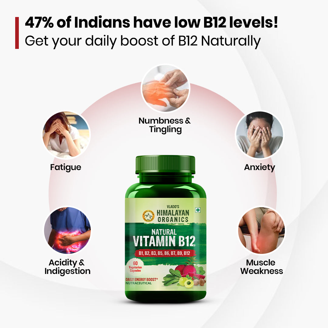Vlado's Himalayan Organics Natural Vitamin B12 Supplement- with Vitamin B1,B2,B3,B5,B6,B7,B9,Moringa | Support Nerve Health & Brain Function I Energy Production, Energy, Maximize Absorption, Boost Metabolism I For Men & Women - 60 Vegetarian Capsules