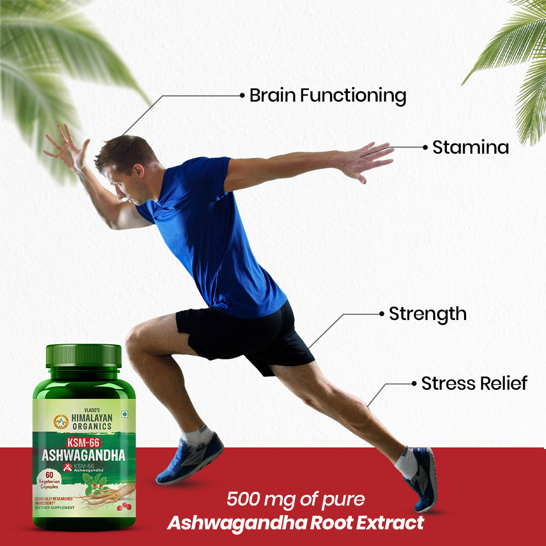 Vlado’s Himalayan Organics KSM66 Ashwagandha 500 Mg I 5% Withania Somnifera I Pure Ashwagandha Men & Women (60 Capsules)