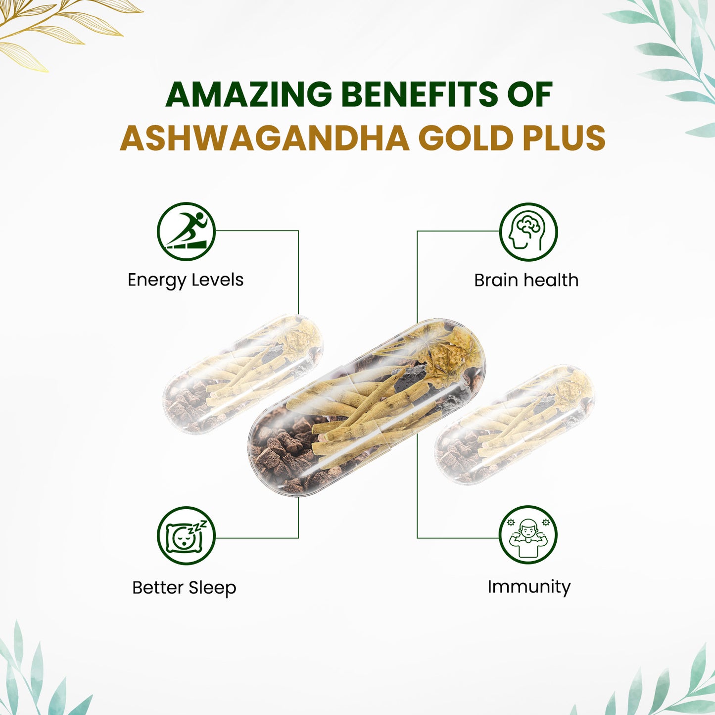 Himalayan Organics Ashwagandha Gold | Supports Strength, Energy & Immunity | 60 Veg Capsules