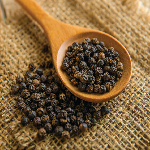 Black Pepper (Piper nigrum) whole and ground peppercorns rich in piperine for digestion, metabolism and immunity