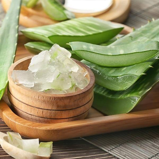 Aloe Vera : A succulent plant for skin, hair and overall health!