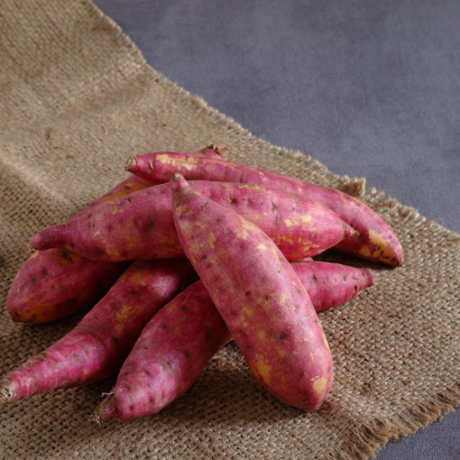alt="Sweet potato root vegetable used in traditional and everyday diets"