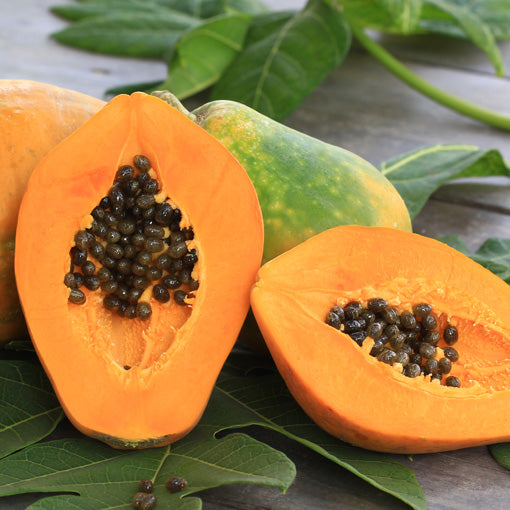 Papaya fruit rich in digestive enzymes papain supporting gut health and digestion