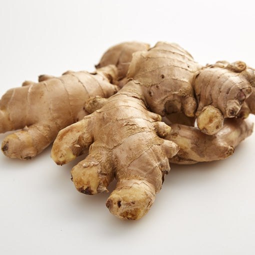 Fresh ginger root (Zingiber officinale) used for digestion, immunity and metabolism support