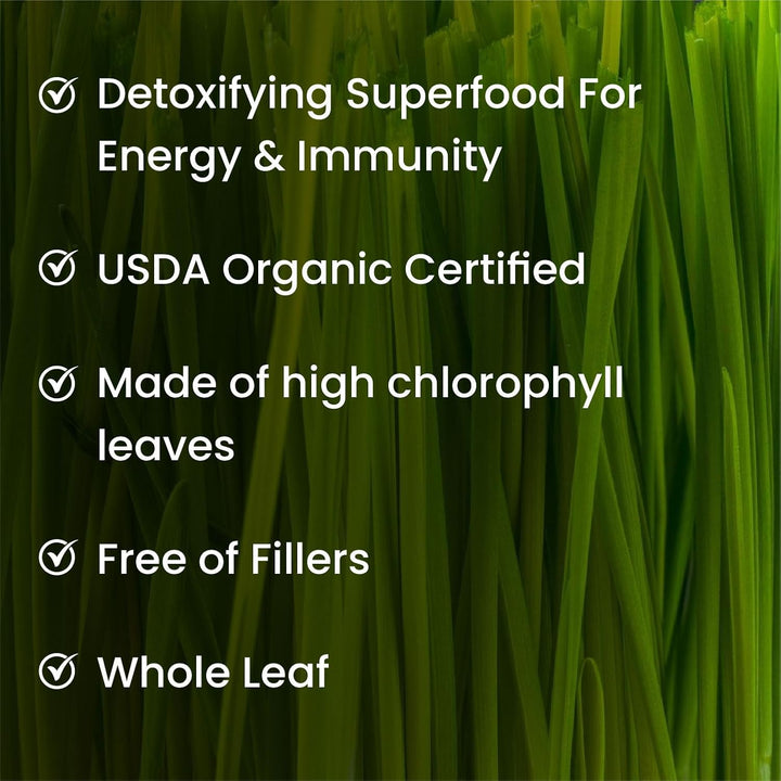 Vlado's Himalayan Organics Natural Organic Wheatgrass Powder | USDA Certified I Wheat Grass Powder | Organic Wheatgrass Juice | Ayurvedic Support For Natural Detox | Immunity Booster | Herbal Supplement - 100g