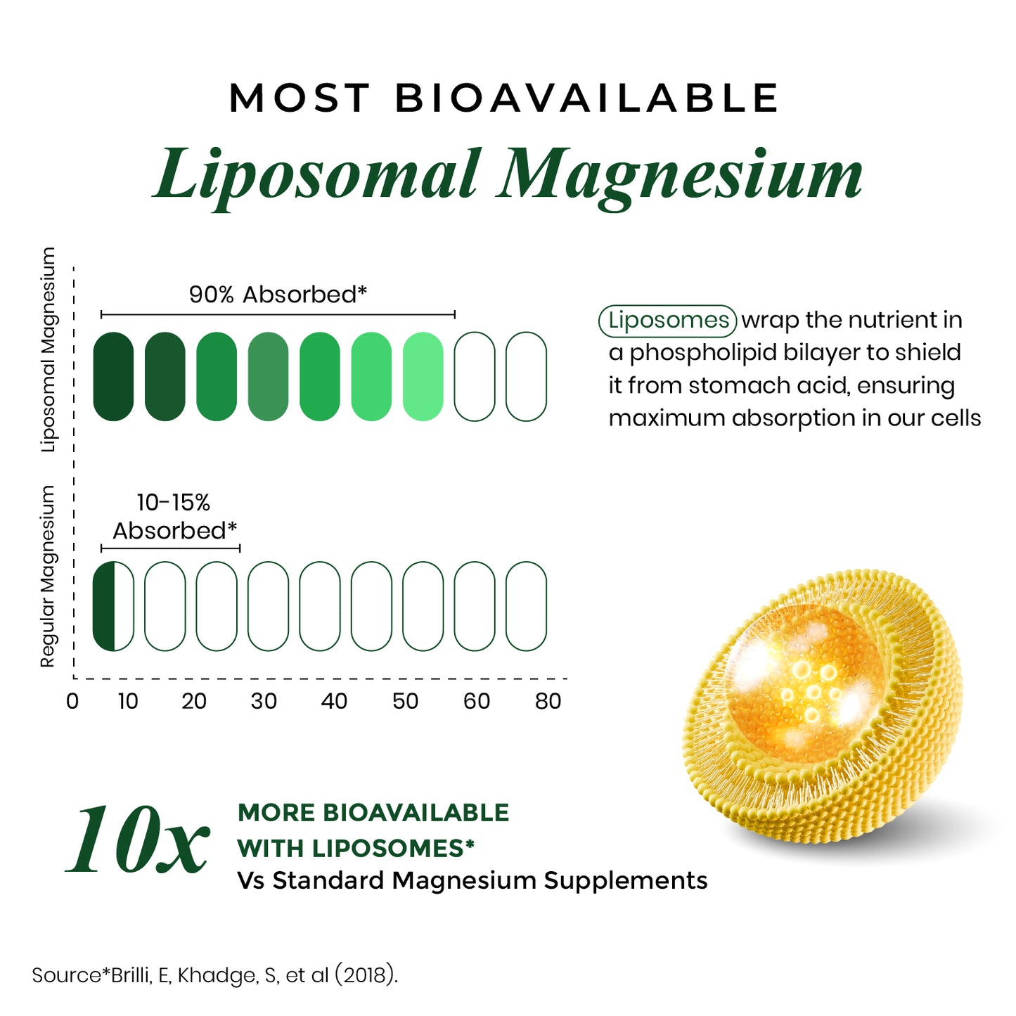 Vlado's Himalayan Organics Magnesium Supplement 28000mg with 10 Chelated Salts Liposomal magnesium citrate , Oxide, Threonate, Aspartate, +2 more with VItamin D3 & B12  I 10X Strength mangesium complex - 60 Veg tablets