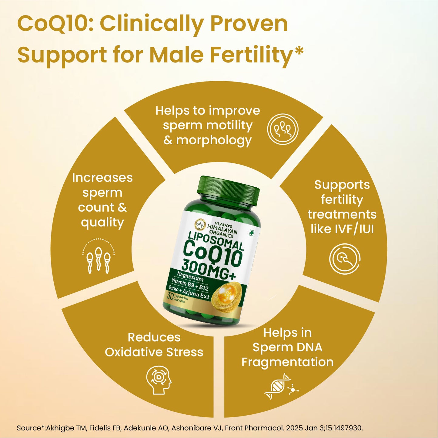 Vlado's Himalayan Organics Liposomal Coenzyme Q10 | CoQ10 Supplement 300mg+ with Magnesium, Vitamin B9 & B12, D-Chiro-Inositol, ,Garlic, Arjuna, Methyl, Folate | High Absorption I Coq10 Ubiqinol Supports Heart Health and Vascular Health  – 30 Capsules