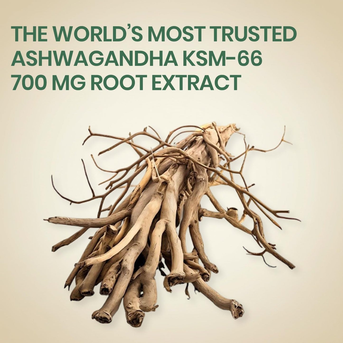 Vlado’s Himalayan Organics KSM66 Ashwagandha 700 Mg I 5% Withania Somnifera I Pure Ashwagandha Men & Women (60 Capsules)