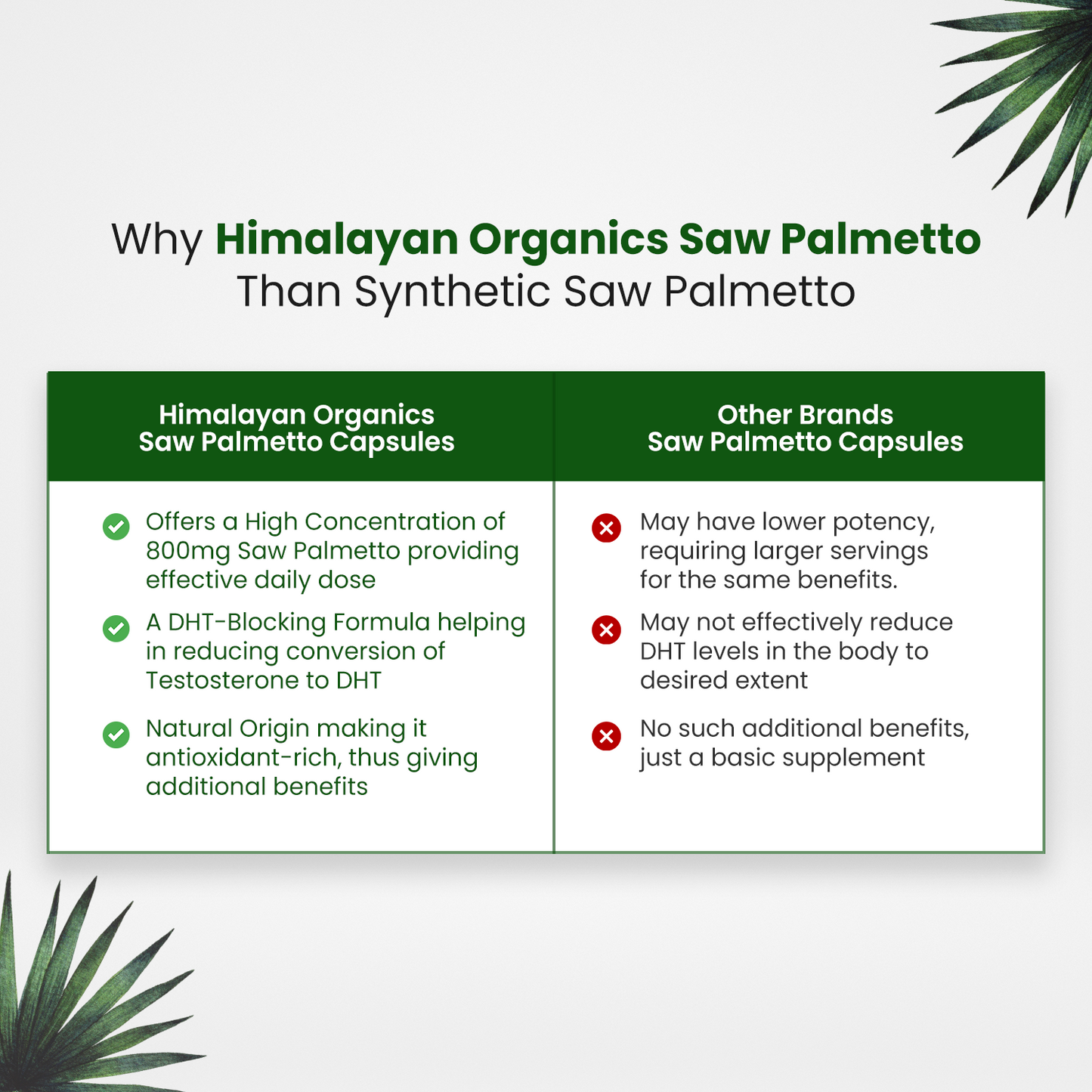 Himalayan Organics Saw Palmetto Extract Capsules for Hair Growth -800mg - 60 Veg Capsules