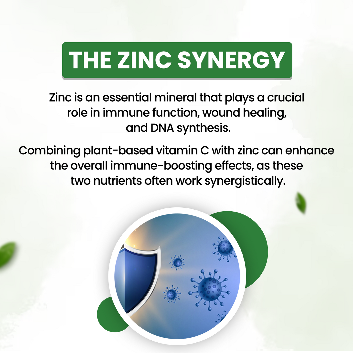 Himalayan Organics Plant Based Vitamin C with Zinc (120 Capsules) As Amla Extract - Glowing Skin & Immunity
