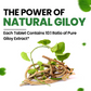 Himalayan Organics Giloy Extract | Immunity Booster | Helps in Blood Purification | 120 Veg Tablets