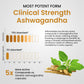 Vlado's Himalayan Organics Pure Ashwagandha -10% Withanolides with Ultra High Potency - 600MG - Highly Concentrated & Third-Party Lab Tested - Ayurvedic Supplement - Focus, Mood Support, Increase Energy, Strength - 30 Capsules