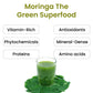 Vlado's Himalayan Organics 100% Organic Certified Moringa Powder - Natural Superfood with 120+ Nutrients, Antioxidants & Vitamins - Drumstick Leaf powder | Herbal Supplement I for Immunity, Digestion & Energy I Rich In Antioxidant & Protein - 200g
