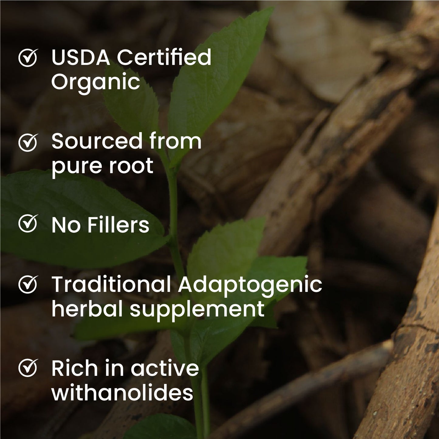 Vlado's Himalayan Organics 100% Organic Ashwagandha Powder 100gm - Withania Somnifera | Pure Ashwagandha Powder Organic -Support Muscle Recovery & Boost Energy Level | USDA Certified for Vitality, Strength & Stress Management | 100gm