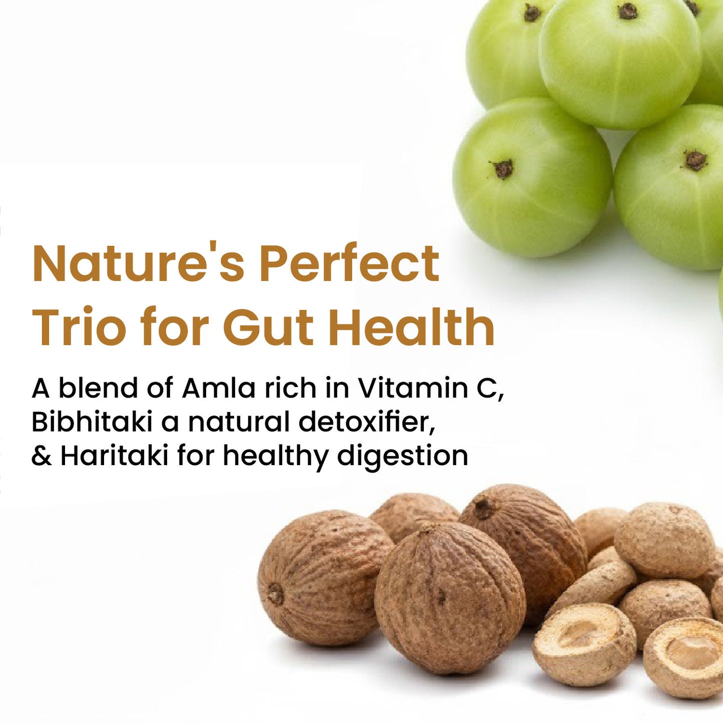 Vlado's Himalayan Organics Triphala Powder - 100 GM | Triphala Churna For Gut, Immune & Intestinal Health | Colon & Digestion, For Balanced Bowel & Gut Health, Contains Bioactives and Antioxidants, GMP & NPOP Certified Organic I Helps Relieve Constipation