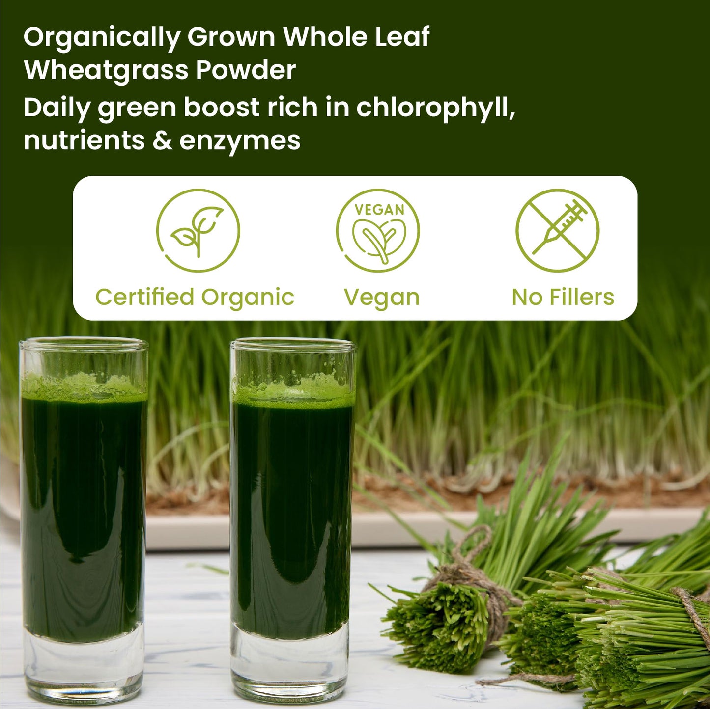 Vlado's Himalayan Organics 100% Natural Organic Wheatgrass Powder | USDA Certified I Wheat Grass Powder | Organic Wheatgrass Juice | Ayurvedic Support For Natural Detox | Immunity Booster | Herbal Supplement - 100g