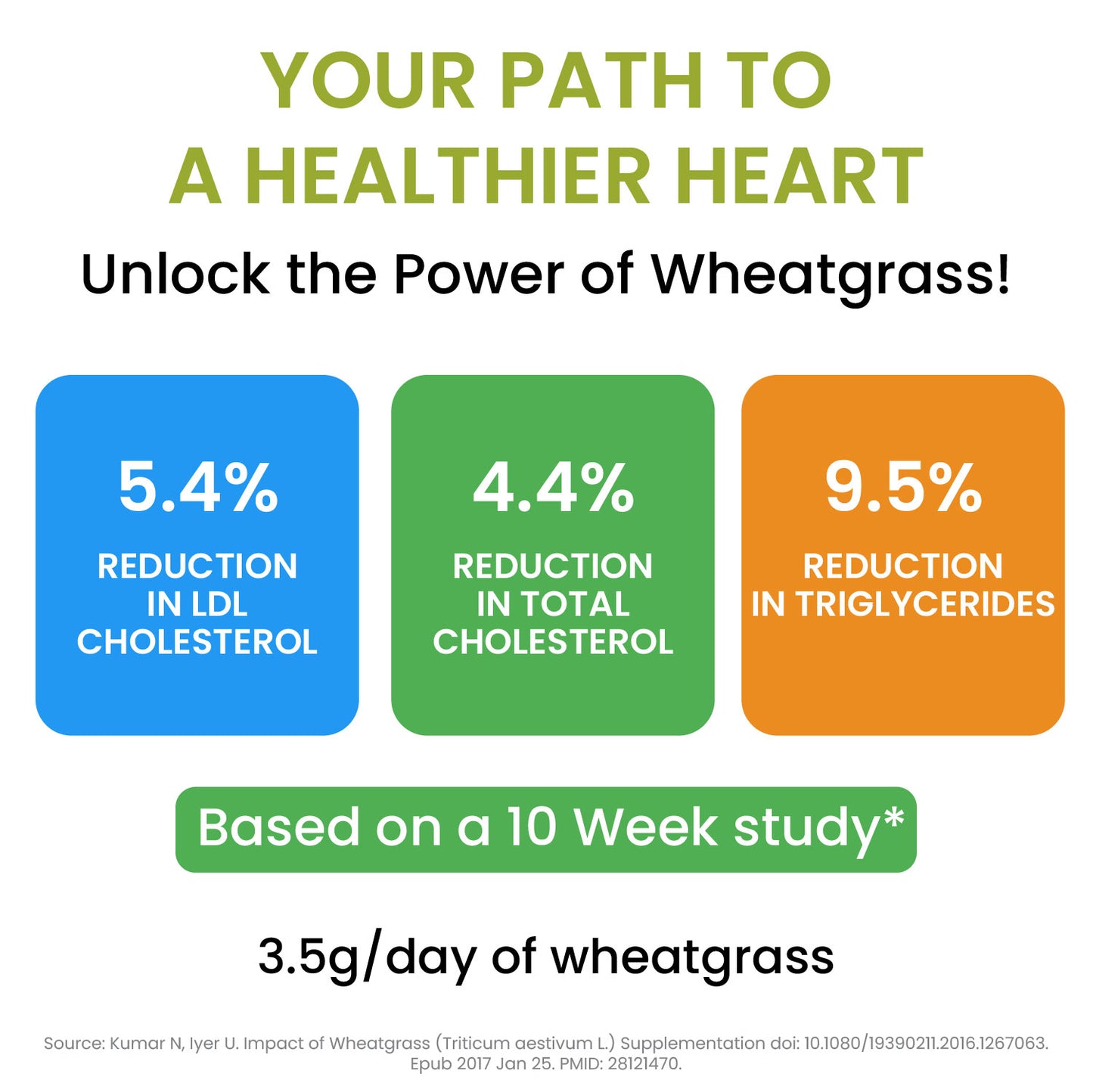 Vlado's Himalayan Organics 100% Natural Organic Wheatgrass Powder | USDA Certified I Wheat Grass Powder | Organic Wheatgrass Juice | Ayurvedic Support For Natural Detox | Immunity Booster | Herbal Supplement - 100g