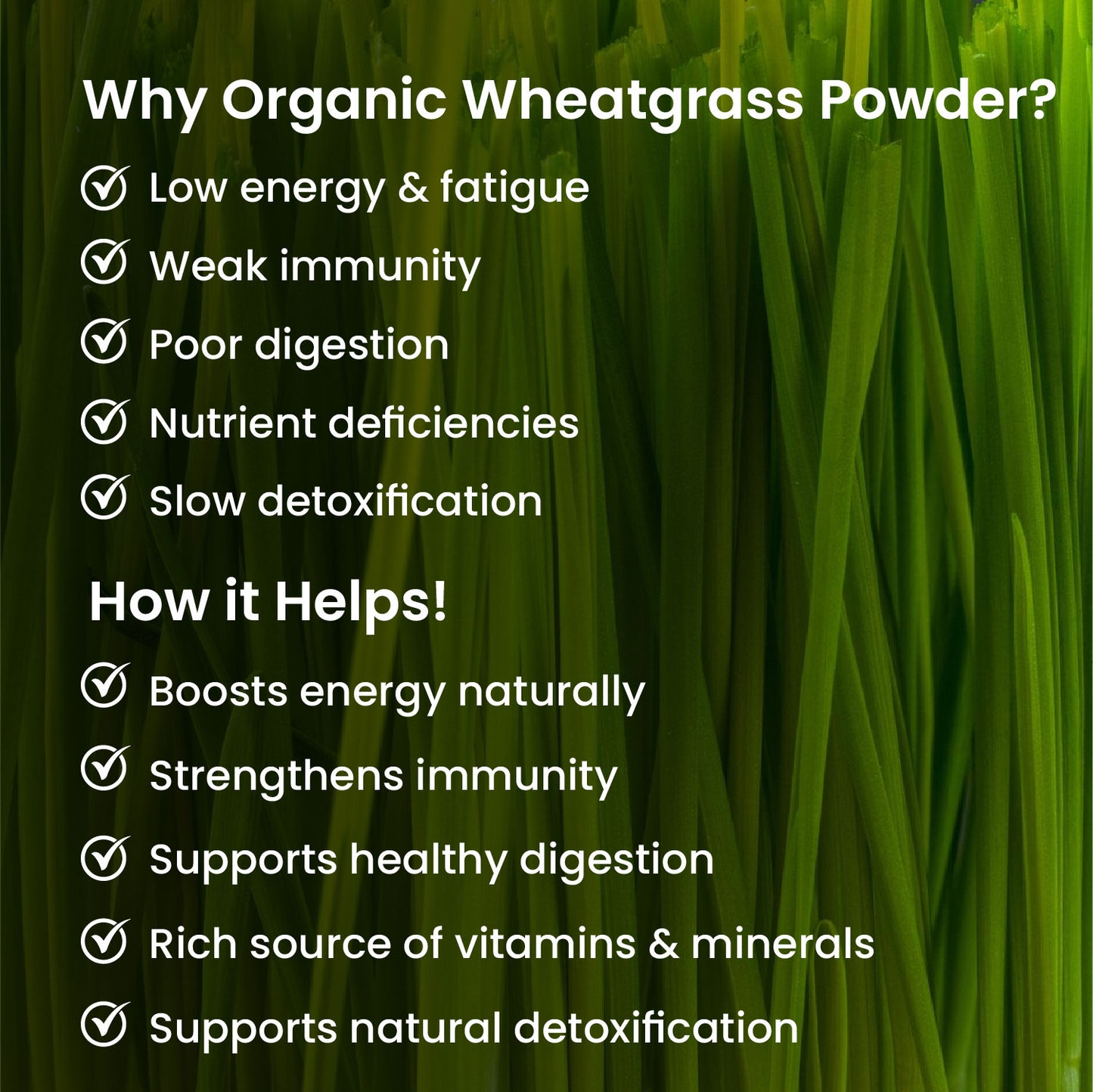 Vlado's Himalayan Organics 100% Natural Organic Wheatgrass Powder | USDA Certified I Wheat Grass Powder | Organic Wheatgrass Juice | Ayurvedic Support For Natural Detox | Immunity Booster | Herbal Supplement - 100g
