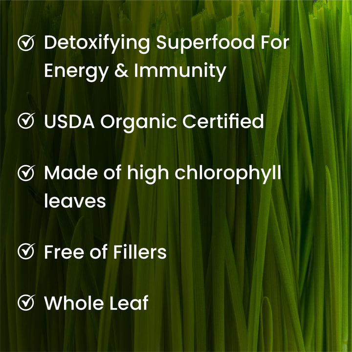 Vlado's Himalayan Organics 100% Natural Organic Wheatgrass Powder | USDA Certified I Wheat Grass Powder | Organic Wheatgrass Juice | Ayurvedic Support For Natural Detox | Immunity Booster | Herbal Supplement - 100g
