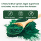 Vlado's Himalayan Organics Spirulina Powder (100g) | For Men & Women | Contains 62% Protein I Natural Superfood | Rich in Protein, Vitamins & Minerals | Boost Energy & Immunity | Support Digestion & Skin health