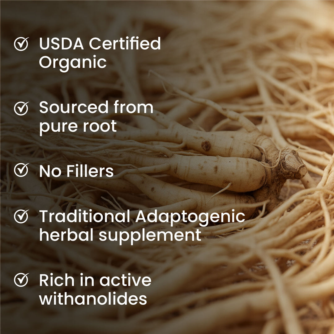 Vlado's Himalayan Organics 100% Organic Ashwagandha Powder 100gm - Withania Somnifera | Pure Ashwagandha Powder Organic -Support Muscle Recovery & Boost Energy Level | USDA Certified for Vitality, Strength & Stress Management | 100gm