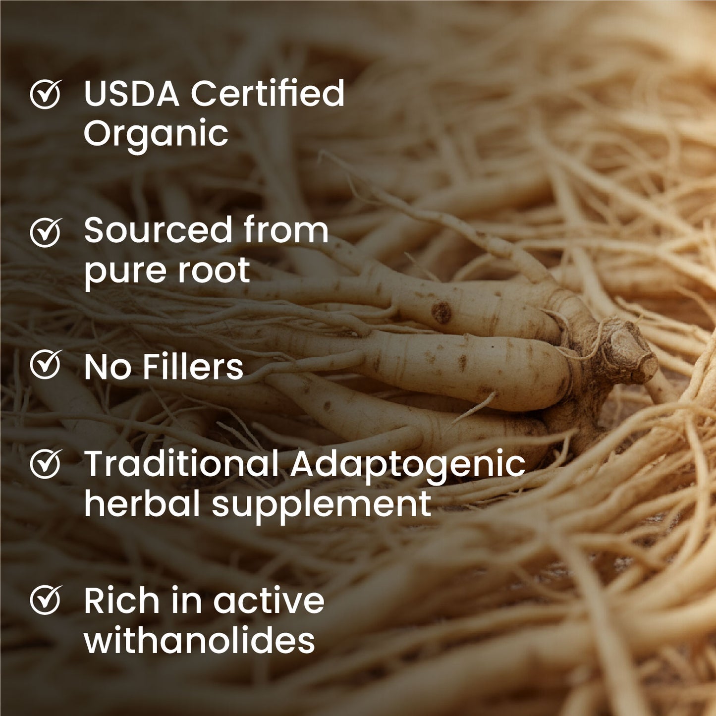 Vlado's Himalayan Organics 100% Organic Ashwagandha Powder 100gm - Withania Somnifera | Pure Ashwagandha Powder Organic -Support Muscle Recovery & Boost Energy Level | USDA Certified for Vitality, Strength & Stress Management | 100gm