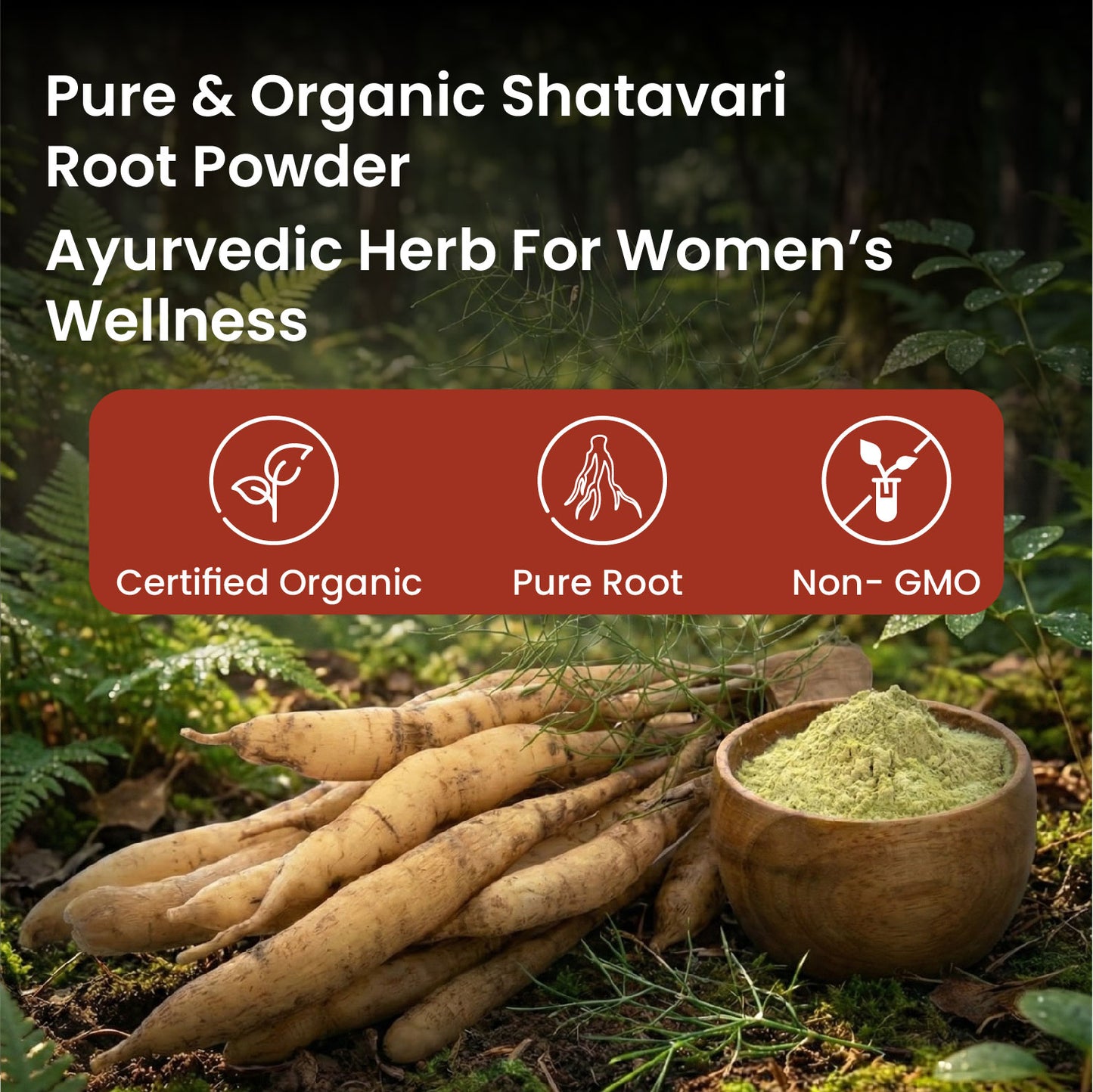 Vlado's Himalayan Organics Shatavari Powder 100gms | Promotes Lactation Naturally | Helps Maintain Hormonal Balance