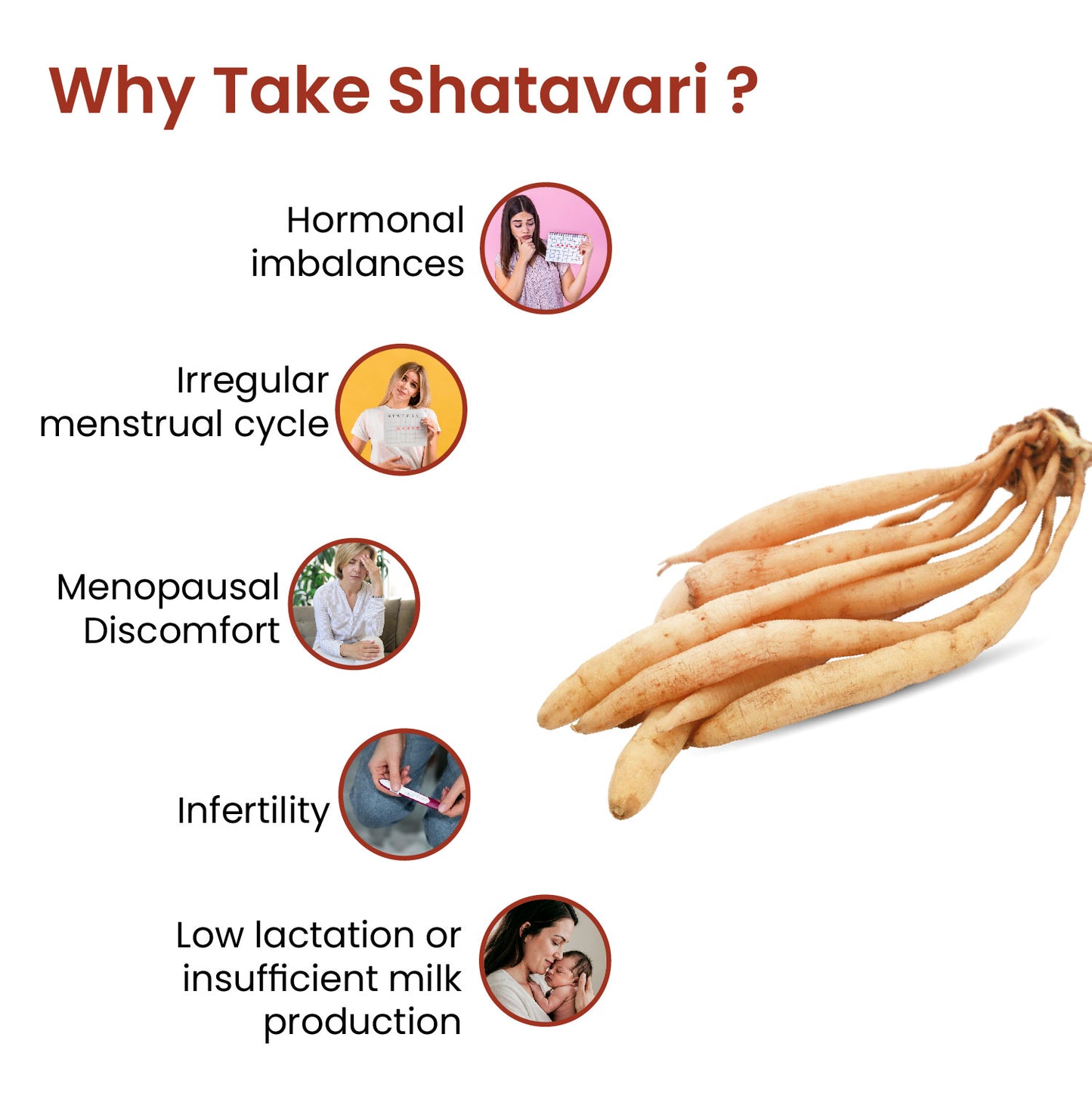 Vlado's Himalayan Organics Shatavari Powder 100gms | Promotes Lactation Naturally | Helps Maintain Hormonal Balance