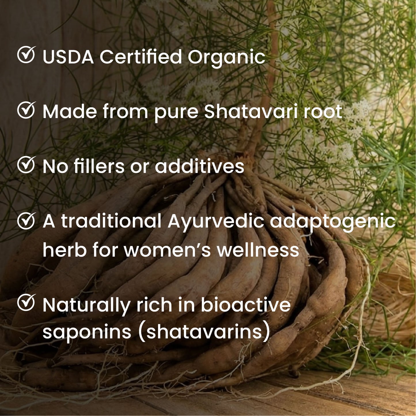 Vlado's Himalayan Organics Shatavari Powder 100gms | Promotes Lactation Naturally | Helps Maintain Hormonal Balance