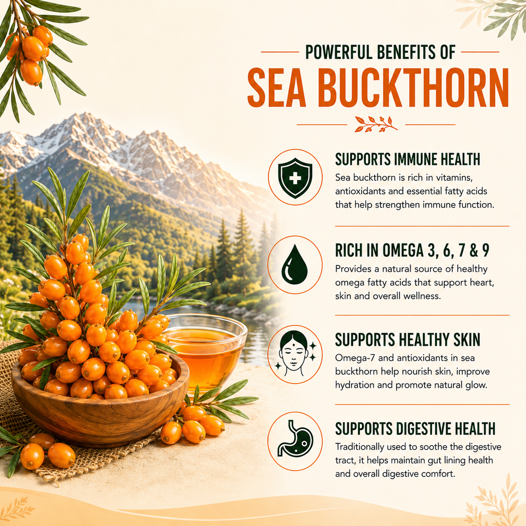 Vlado's Himalayan Organics Sea Buckthorn Tablets 60 | Omega Fatty Acids | Sea Buckthorn