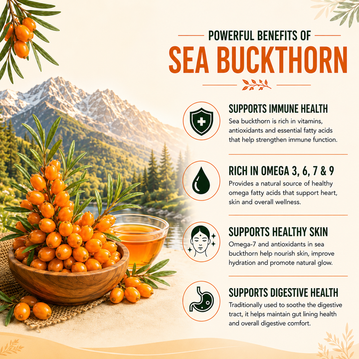 Vlado's Himalayan Organics Sea Buckthorn Tablets 60 | Omega Fatty Acids | Sea Buckthorn