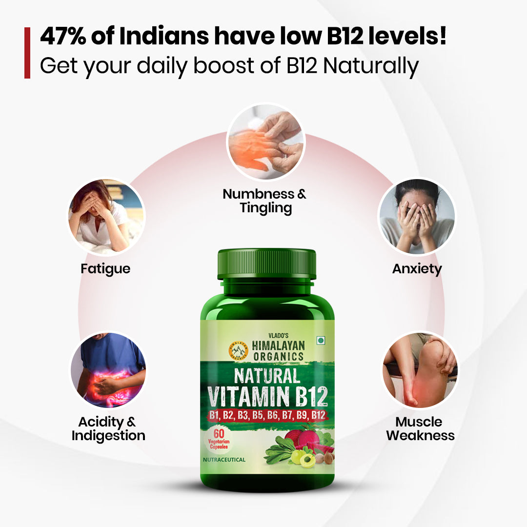 Vlado's Himalayan Organics Natural Vitamin B12 Supplement- with Vitamin B1,B2,B3,B5,B6,B7,B9,Moringa | Support Nerve Health & Brain Function I Energy Production, Energy, Maximize Absorption, Boost Metabolism I For Men & Women - 60 Vegetarian Capsules